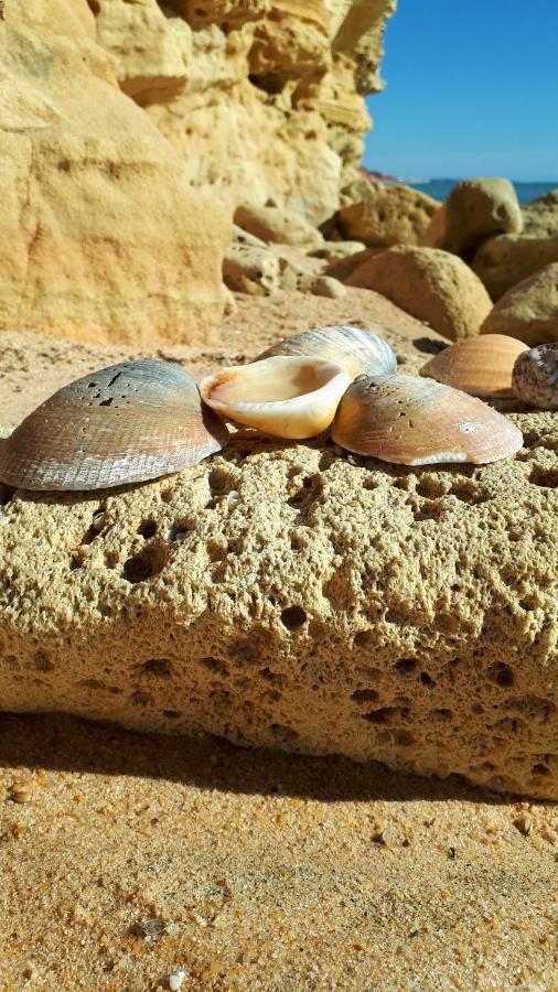 Olhos Do Mar Albufeira 아파트 외부 사진